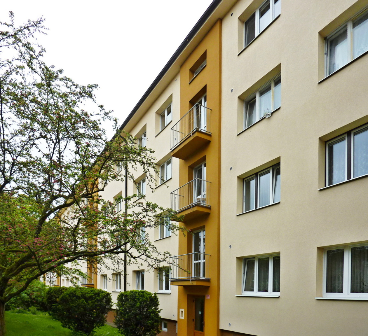 Byt Vrchlického Jihlava